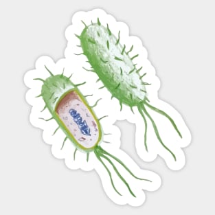 Bacteria Sticker